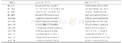 表2 研究所使用的部分SSR多态性引物序列信息