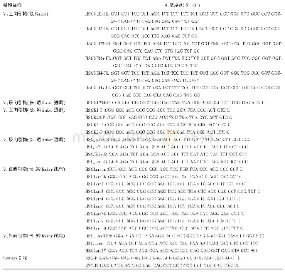 表1 扩增IgG型抗体基因特异引物 (VH、Vκ、Vλ) 名称及序列Tab 1.Names and sequences of primers for amplification of IgG antigen genes (VH, Vκand