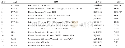 表1 EV71核酸检测试剂参考盘中候选样品各病毒株的测序结果