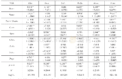 表6 收入财政分权与晋升激励对分维度经济增长质量的影响结果