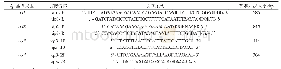 表1 vip基因鉴定的通用引物