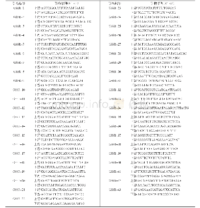 表2 43对多态性丰富的SSR引物序列