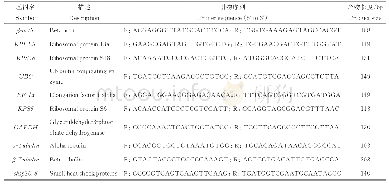 表1 qPCR靶基因和内参基因引物