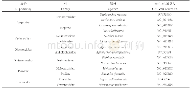 表1 本研究所选物种：蝎蝽次目线粒体蛋白质编码基因的比较研究
