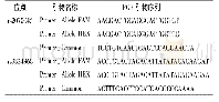 表1 SNP位点引物名称和PCR引物序列