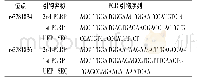 表2 SORL1基因多态性位点引物和PCR序列