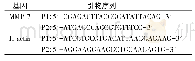 表1 MMP-7基因及内参引物序列