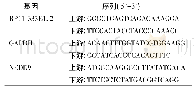 表1 q PCR引物序列