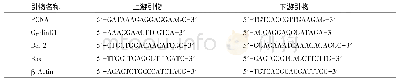 表2 real-time PCR引物序列