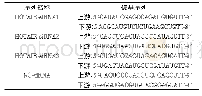 表2 HOTAIR-siRNA和NC-siRNA核酸序列