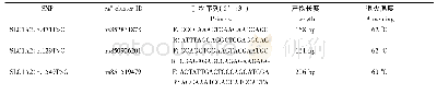 《表1 SLC1A2基因SNP位点引物序列》