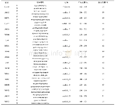 表1 18个豚鼠微卫星位点相关信息