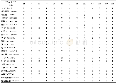 表2 ACE2与SARS-Co V-2结合位点及其在不同物种间的变化