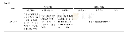 表1 0 中欧规范桩的检测原则和方法