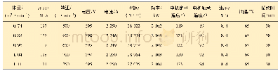 表3 电机最大功率运转试验记录