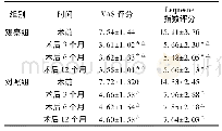 《表2 2组病人术前及术后VAS评分与Lequesne指数评分的比较 (±s，分，n=34)》