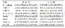 《表1 RT-PCR实验所用引物序列》