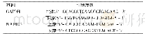 《表1 RT-PCR引物序列》