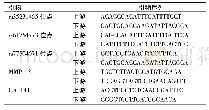 表1 PCR引物序列：MMP-8基因多态性与主动脉夹层的关系