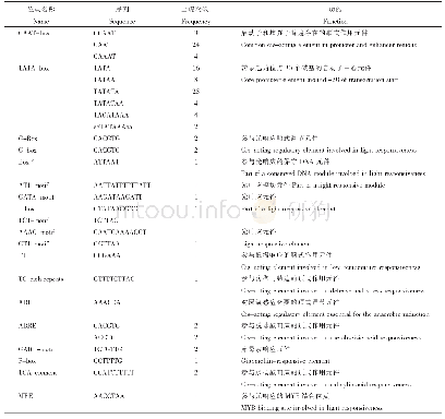 表2 Cm ADF7基因启动子序列顺式作用元件