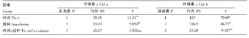 表1 樟子松苗木光合色素含量方差分析