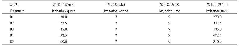 表3 玉米拔节期后灌水设计方案