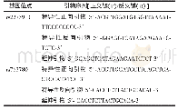 《表1 IL-17序列特异性引物》