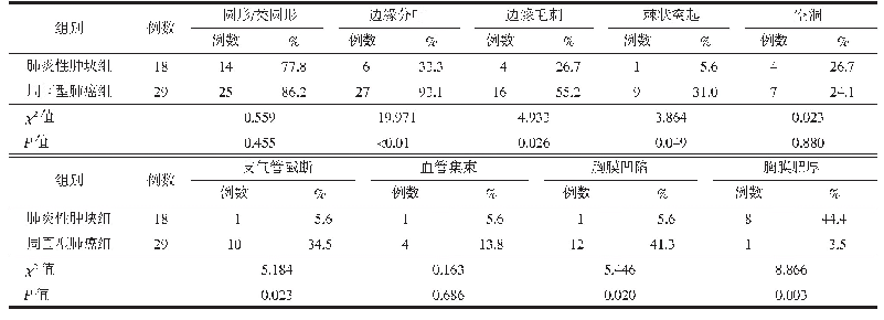 表2 2组CT影像特征比较