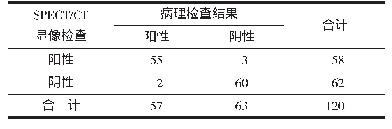 表2 SPECT/CT显像检查结果