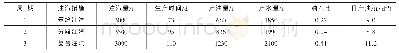 《表2 不同注汽方式参数对比》