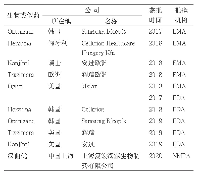 表5 目前已获批曲妥珠单抗生物类似药[1,4]