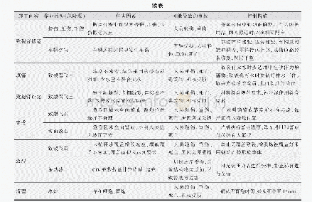 表5 二氧化碳致裂作业安全风险分析及应对措施