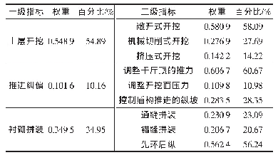 《表1 2 综合指标权重表》