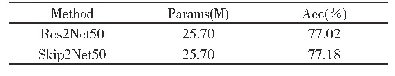 表5 两个模型在Image Net的准确率比较