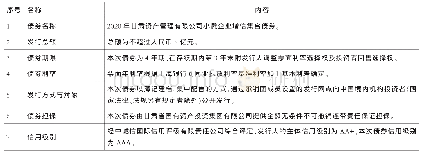 表4 2 0 2 0 年甘肃资产管理有限公司小微企业增信集合债券要素表