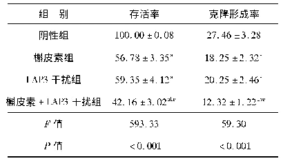 表1 各组细胞存活率和克隆形成率的比较