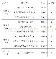 表6 灰色关联度及关联序的评价结果