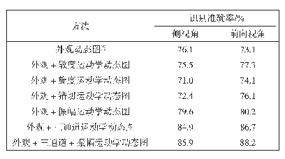 表1 不同组合形式动态图的动作分类结果