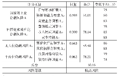 表1 2 风险等级评价专家打分汇总