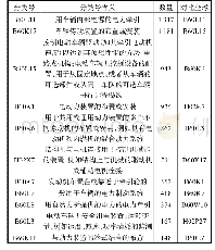 表2 中国申请人驱动电机专利申请IPC(大组)排名