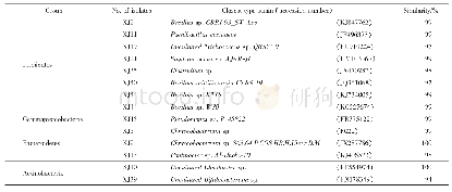 表1 可培养细菌菌株16S rRNA基因序列与最相似菌株的相似性Tab.1 Similarity of 16S rRNA gene sequence between the isolated cultivable bacteria and