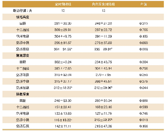 表4 不同饲喂方式对断奶仔猪肠道形态的影响