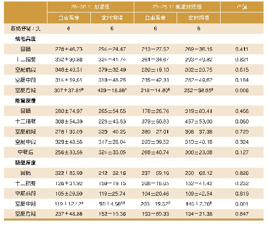 表5 加温和饲喂模式组合因素对断奶仔猪肠道形态的影响