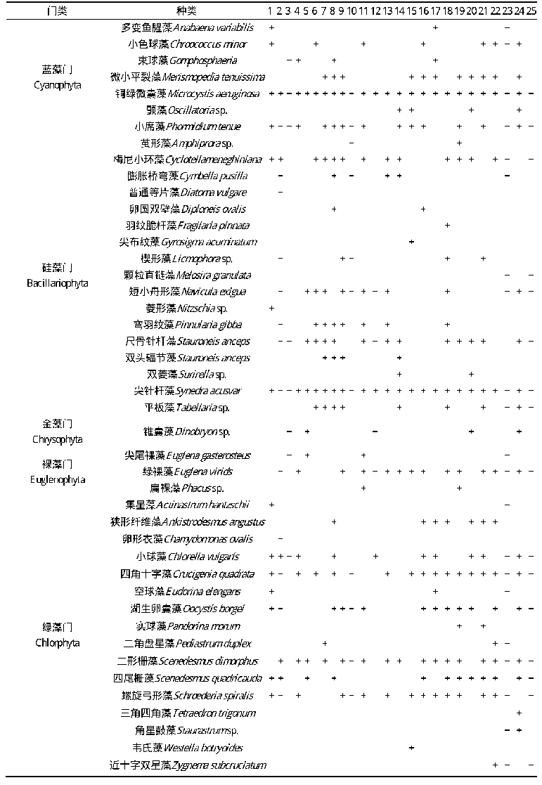 表3 大清河8月浮游植物种类分布