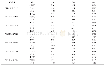 表4 准确性验证：熔融制样X射线荧光光谱法测定菱镁石粉中主要成分