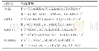 《表1 Nrf2、GST-P1、GCLC进行PCR扩增的引物序列》