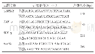 表1 实时荧光定量PCR引物序列