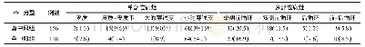 表2 真中风组与类中风组DWI分型比较