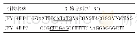 表1 引物合成表：流行性乙型脑炎病毒NS4B蛋白的原核表达及其结构分析