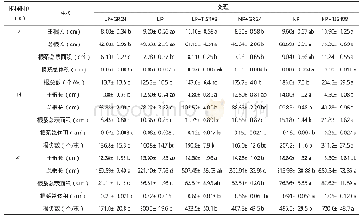 表3 低磷和正常磷GR24和TIS108处理中双11号主根长、总根长、根系总表面积、根系总体积、根尖数